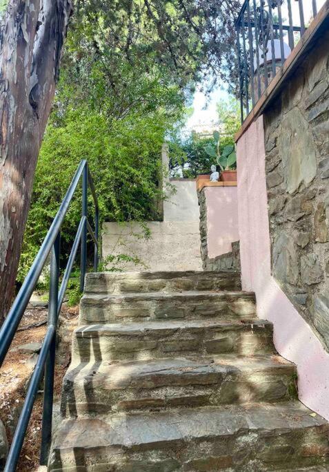 Villa Charmante Maison En Plein Coeur De Collioure Exterior foto